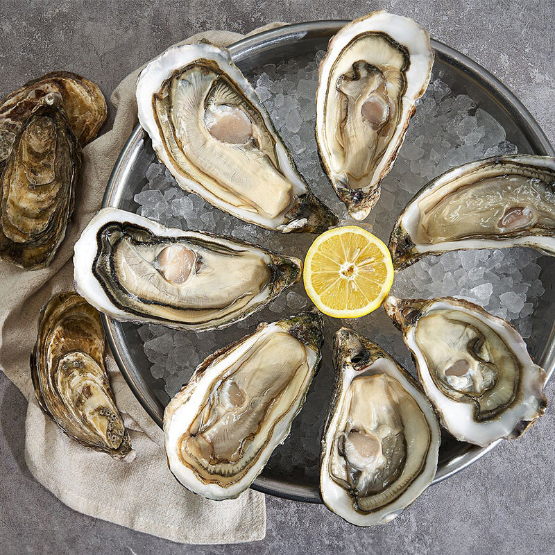 SAINT KERBER 法國紛迪加蠔 - 特大 (1pc)