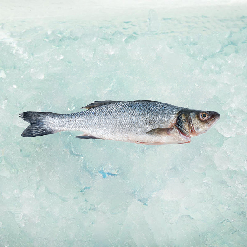 OSO Greek Farmed Sea Bass - ASC (Pre-pack)  (300g)