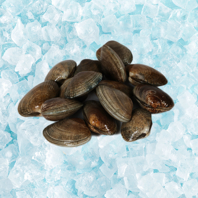 KANESHIME-C Japan Hokkaido Live Shijimi Clam  (200g)