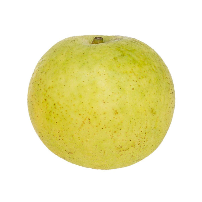 日本二十世紀梨 (1pc)