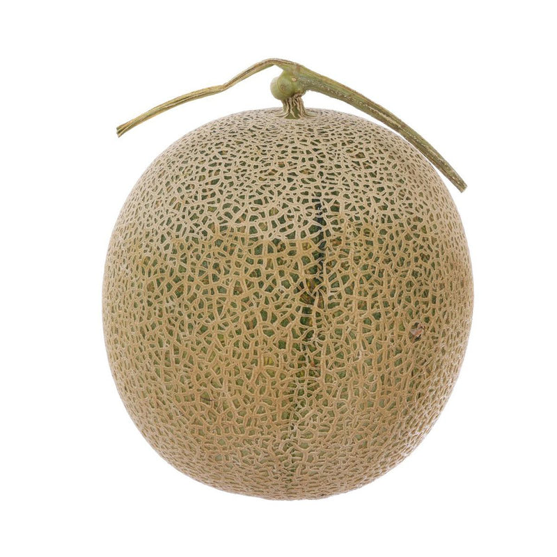 日本北海道丸山農園富良野紅肉蜜瓜  (1pc)
