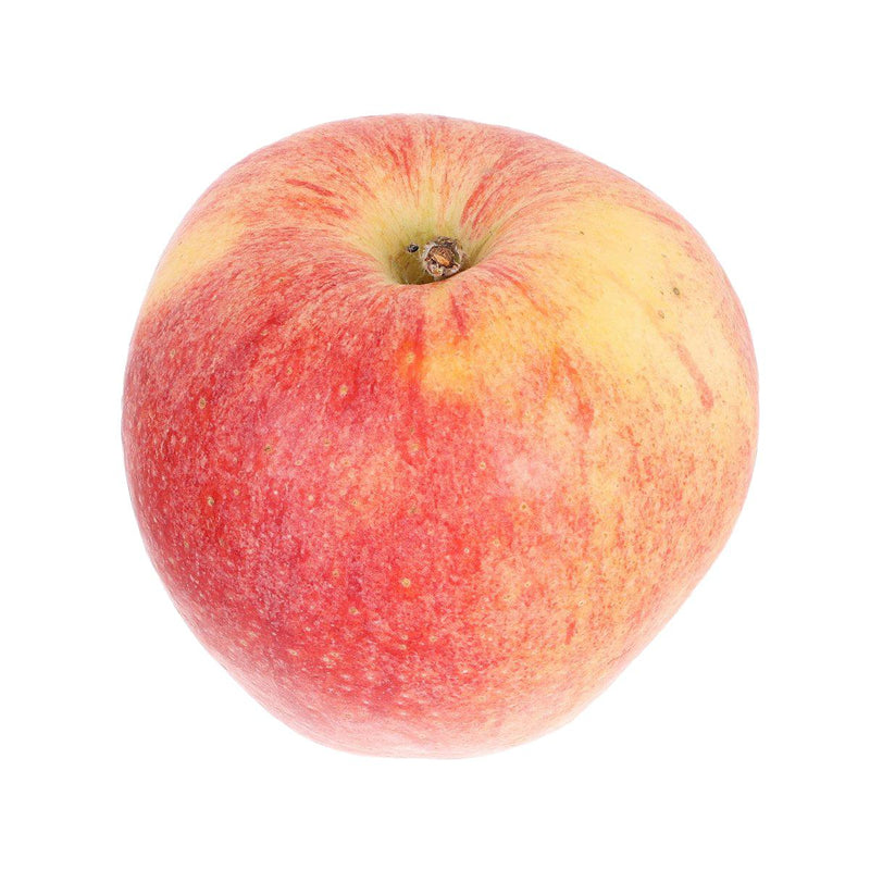 Italian Organic Gala Apple  (1pc)