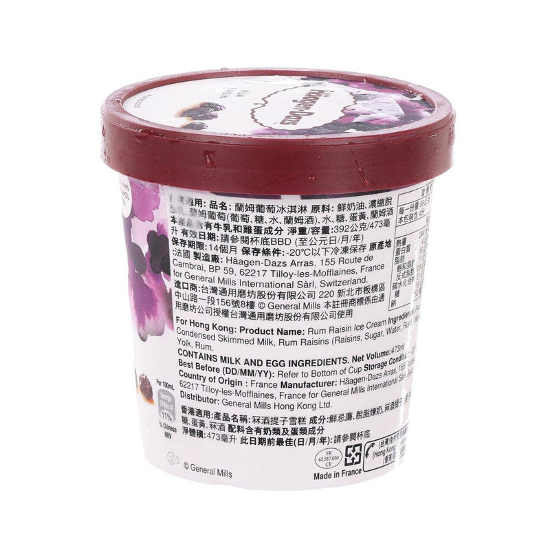 HAAGEN DAZS Ice Cream - Rum Raisin  (473mL)