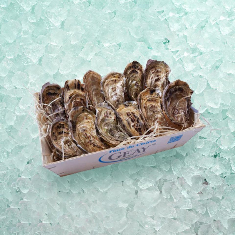 GEAY French Geay Fines de Claires Oyster Nr.2  (12pcs)