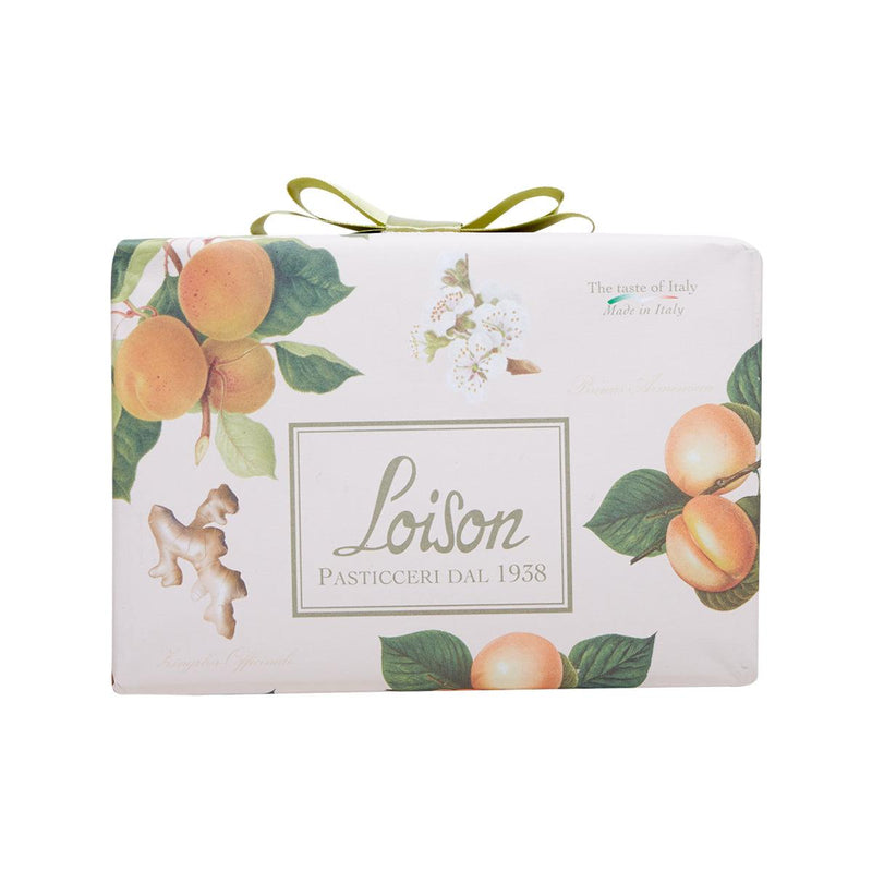 LOISON Apricot & Ginger Panettone  (500g)