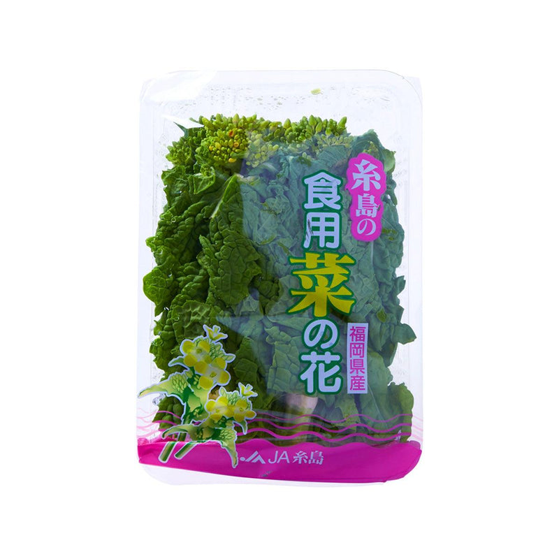 日本油菜花 (300g)