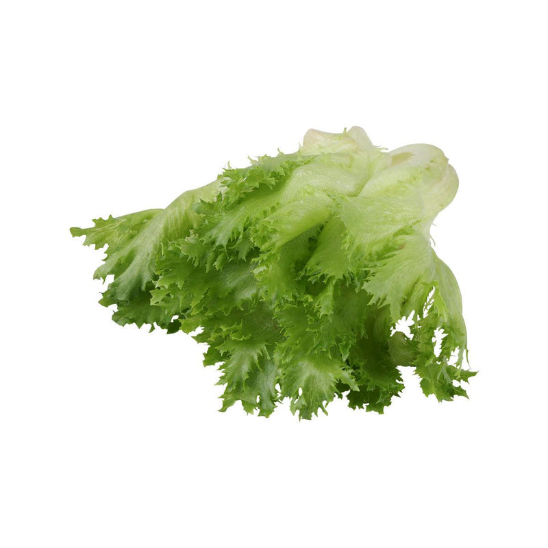 Japan Okinawa Hydroponics Frill Lettuce  (1pack)