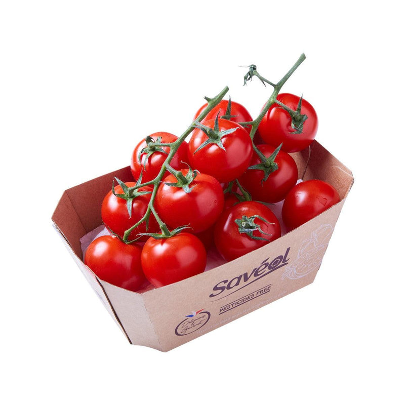 SAVEOL French Cocktail Tomato on Vine (without using Synthetic Pesticides)  (500g)
