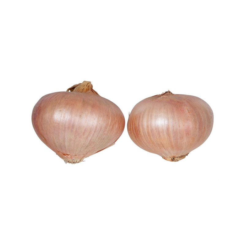 Italian Montoro Onion  (600g)