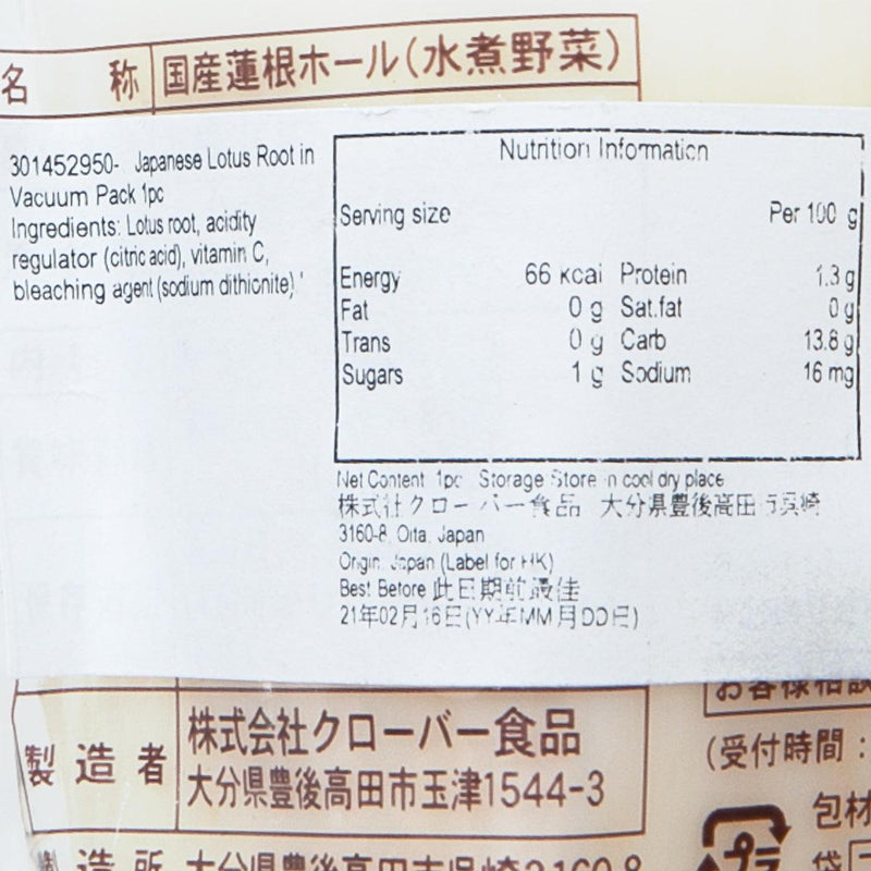 日本真空包裝蓮藕 (1pc)