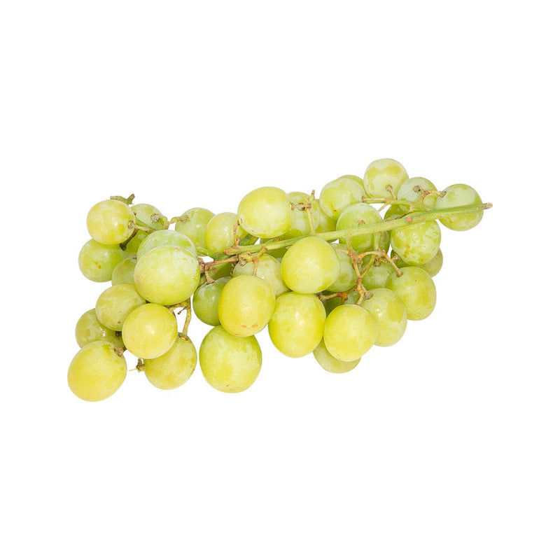 Australian Autumn Crisp Seedless Green Grape  (600g)