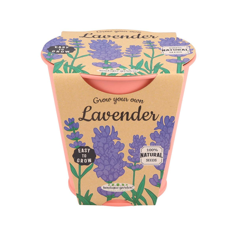 Blackboard Zinc Pot - Lavender