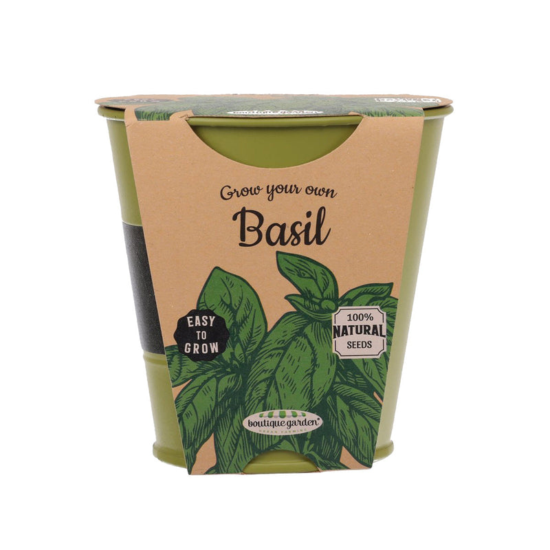 Blackboard Zinc Pot - Basil