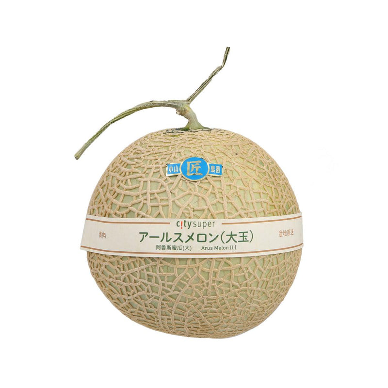 日本亞魯斯蜜瓜 (大) (1pc)