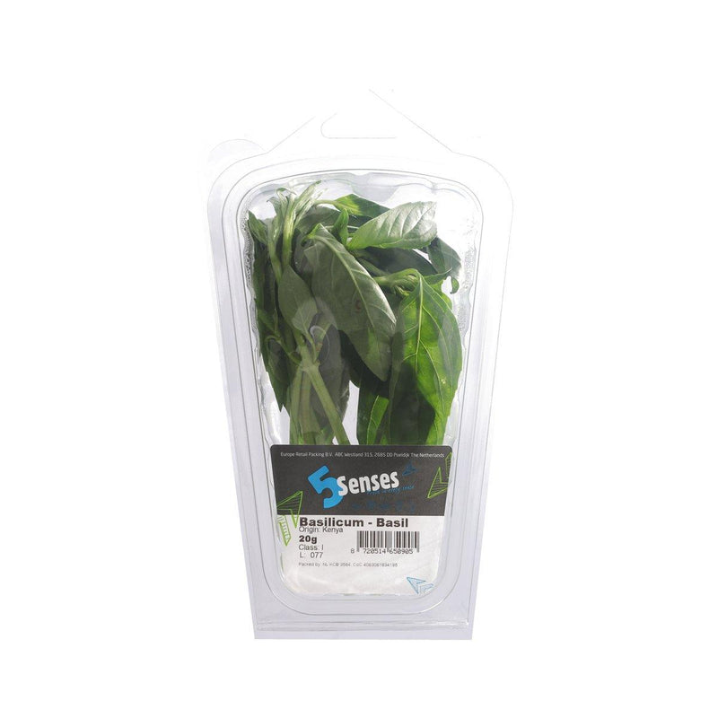 Kenyan Basil (Pack)  (1pack)