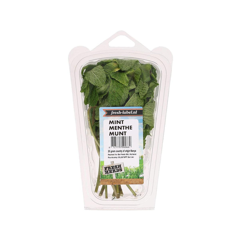 Kenyan Mint (Pack)  (1pack)