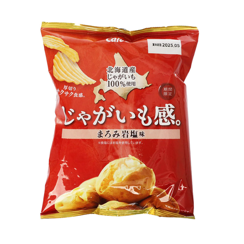 CALBEE Potato Chips - Rock Salt Flavor  (60g)