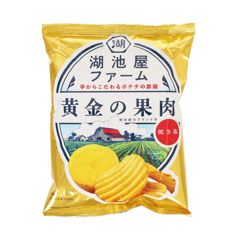 KOIKEYA Farm Potato Chip - Roasted Salt  (55g)