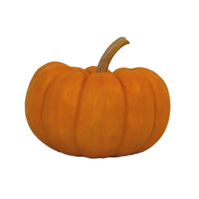 USA Halloween Pumpkin - Mini (0.5 lbs) (1 piece)