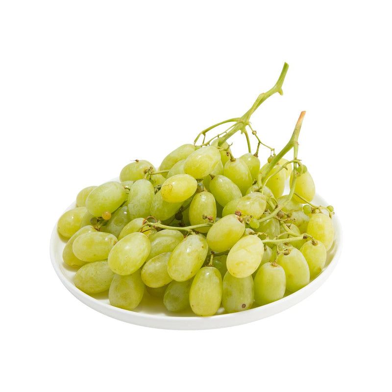 Australian Ivory Seedless Green Grape  (600g)