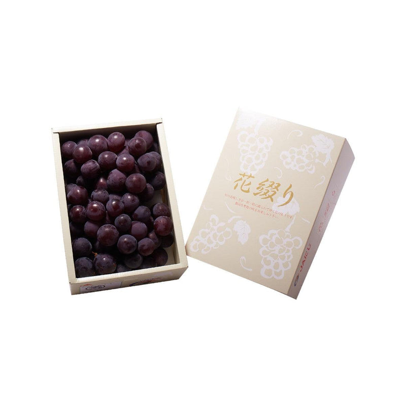 Japan Kyoho Grape Gift Box (1pack)