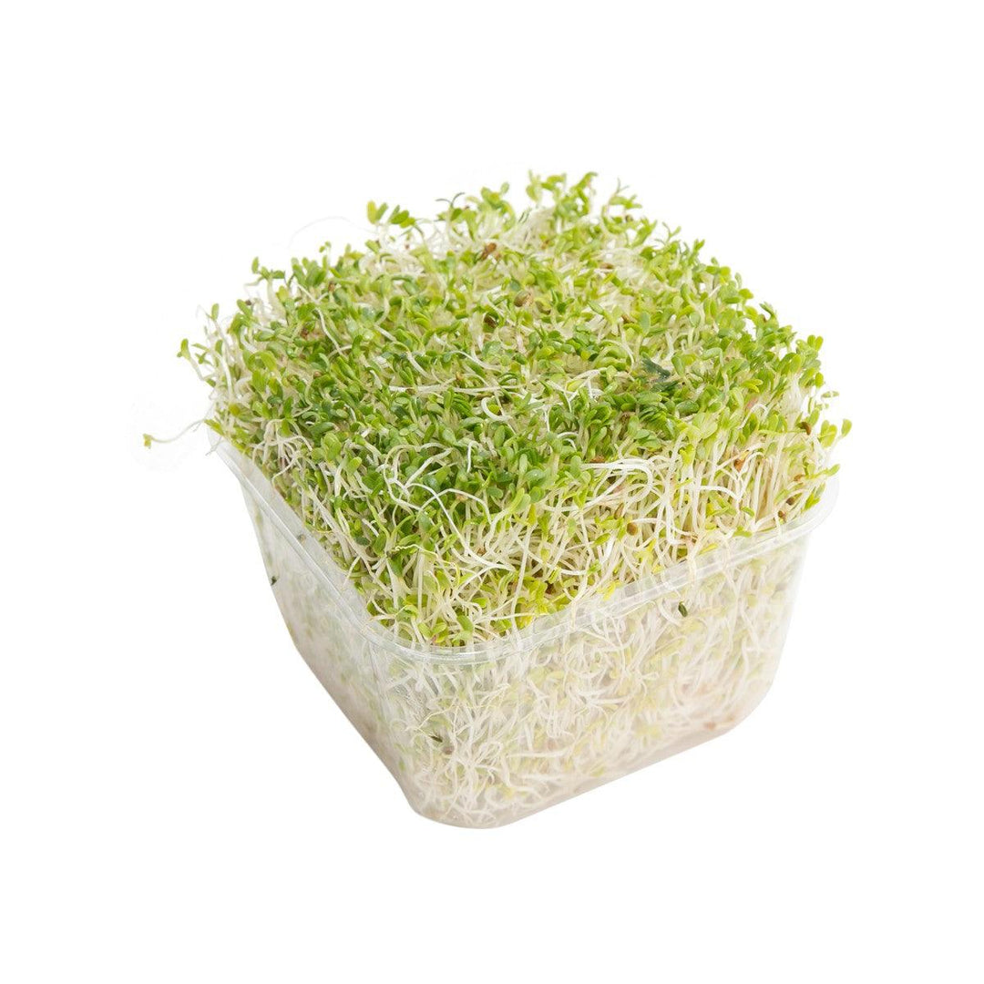 Australia Alfalfa Sprouts (1pack) – city'super Neighbourhood