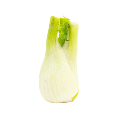 Fruit & Vegetable - Vegetable Selection - Italian Fennel  (600g)