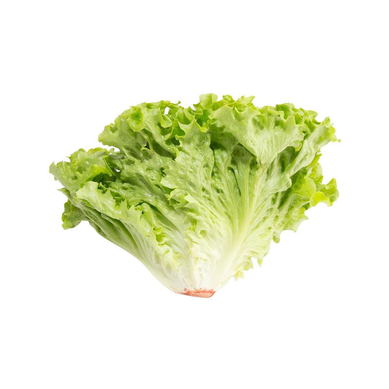 French Green Batavia Lettuce  (600g)