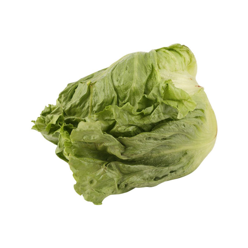 Japanese Lettuce  (600g)