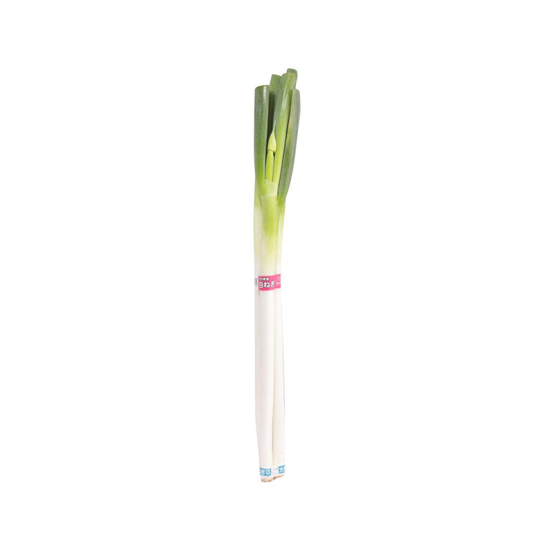 Japanese Fukanegi Leek  (350g)