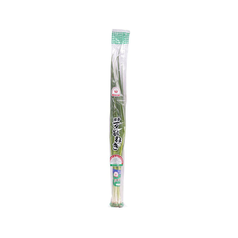 Japanese Bannonegi Spring Onion  (1pack)