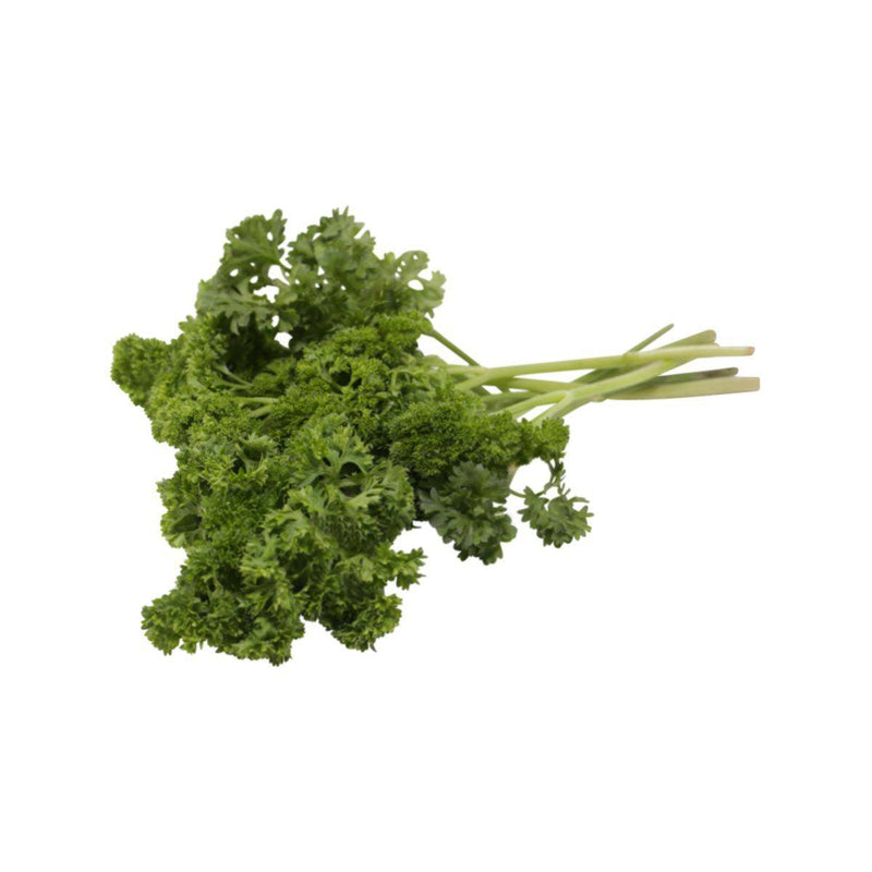 Israeli Parsley  (1pack)