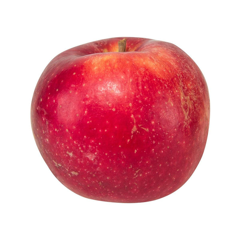 Italian Organic Gala Apple  (560g)