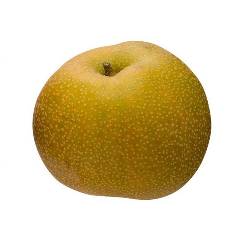 日本秋月梨 (1pc)