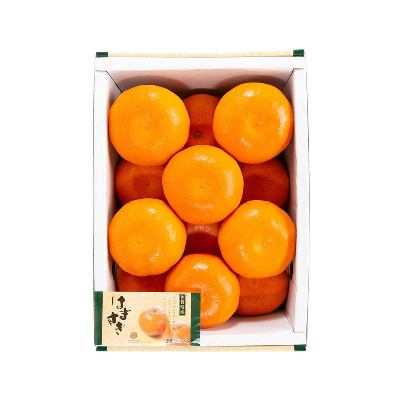 Japanese Setoka Orange  (1pack)