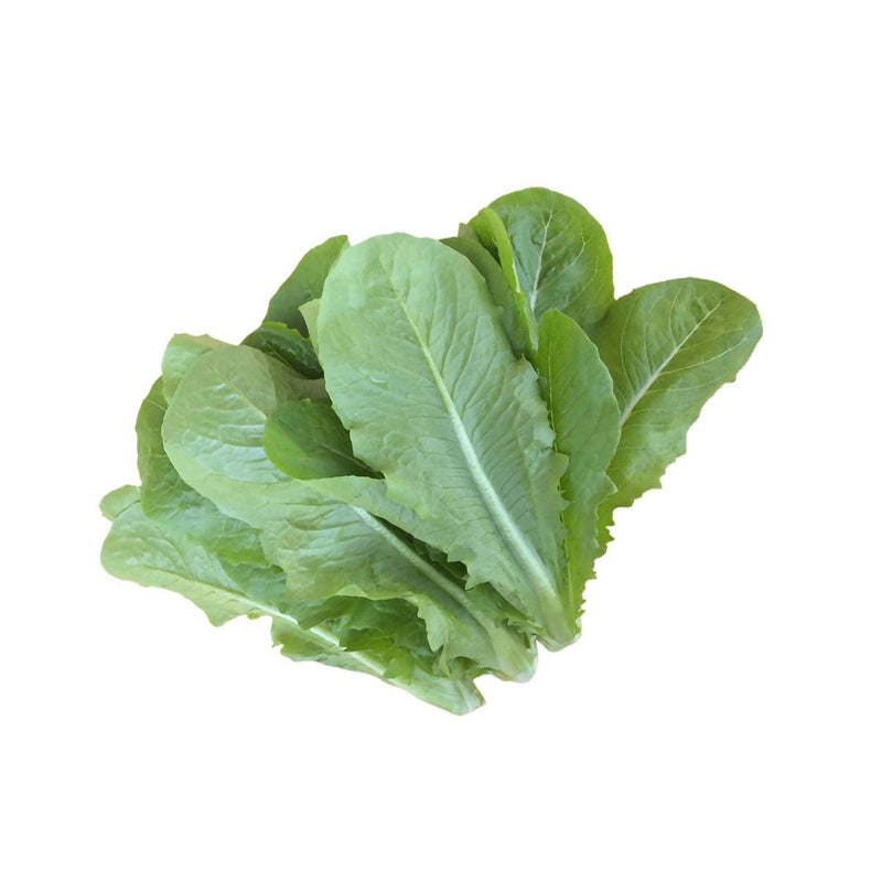 Local Organic Romaine Lettuce  (600g)