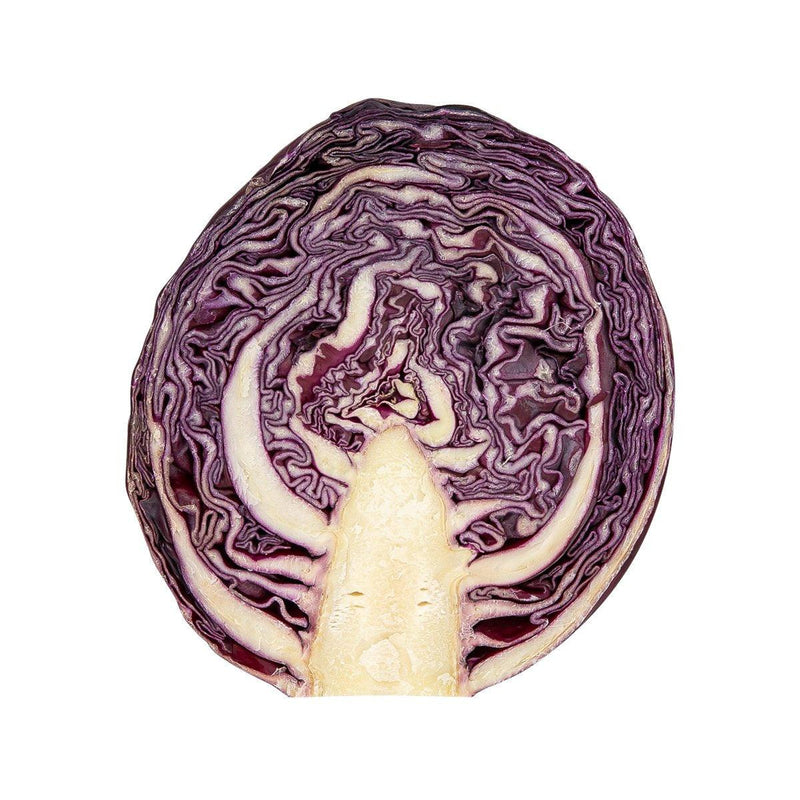 ASIAN FARMERS Chinese Red Cabbage  (1pc)