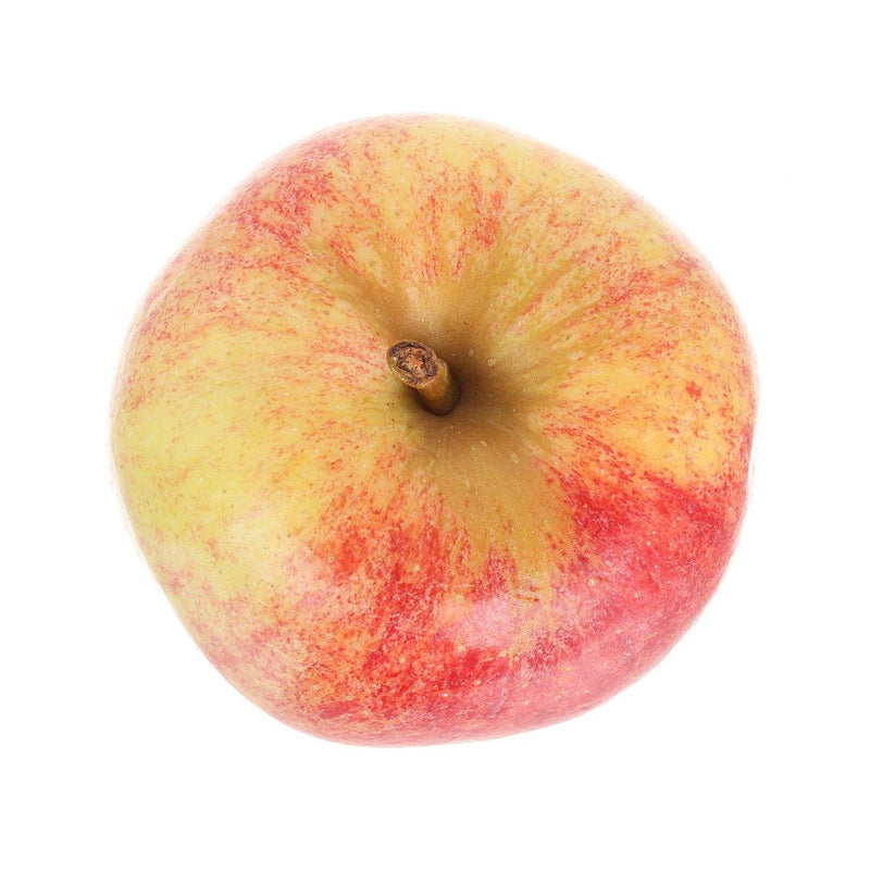 French Gala Apple  (1pack)