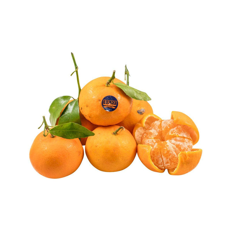 Spanish Mandarin  (1000g)