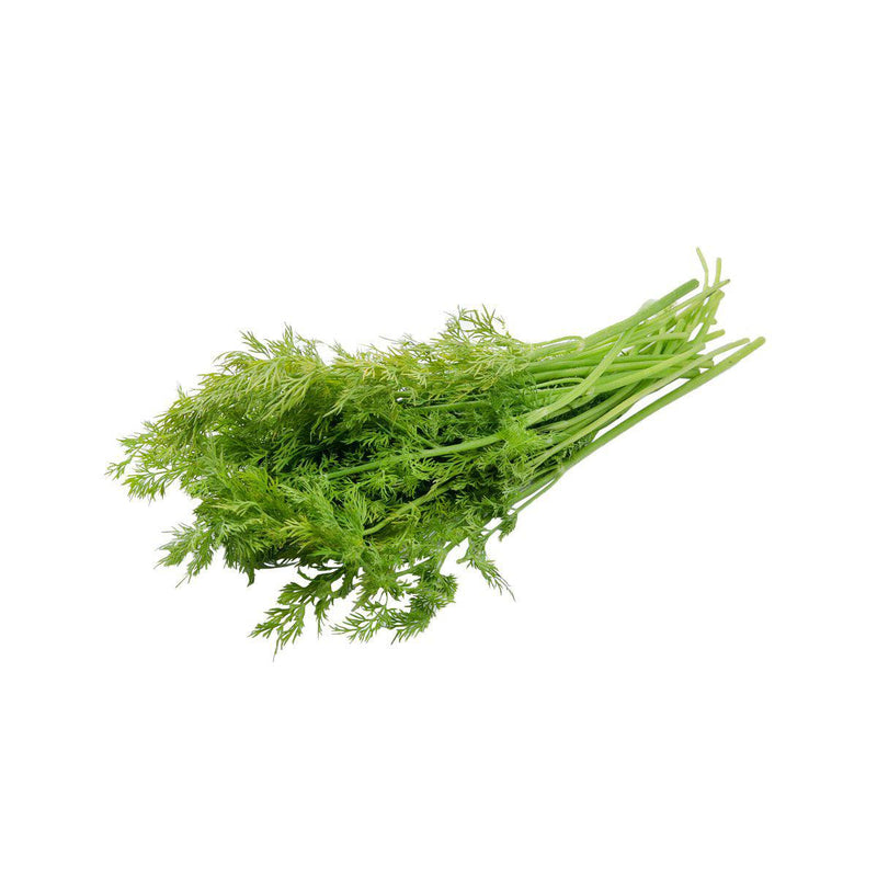 Kenyan Dill (Pack)  (1pack)