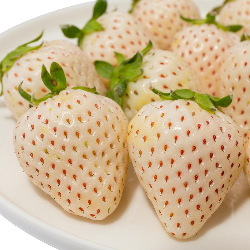 Japan Saga Snow Rabbit White Strawberry  (1pack)