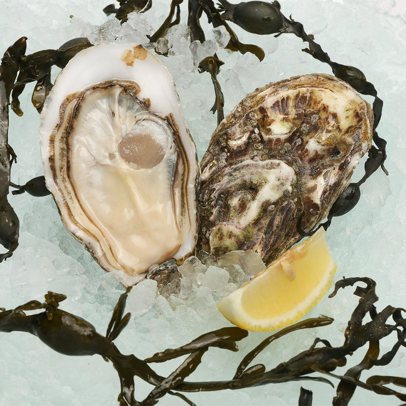 TSARSKAYA French Tsarskaya Oyster Nr.1  (1pc)