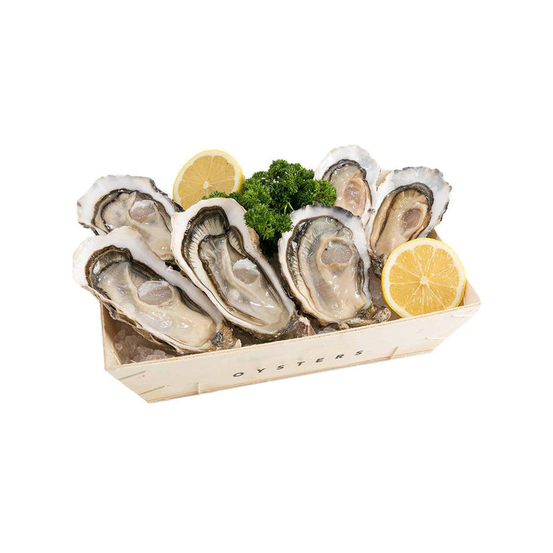 Oyster Set  (6pcs)