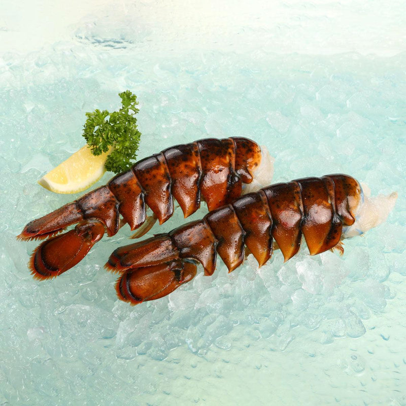 COZY HARBOR Maine Frozen Lobster Tails  (212g)