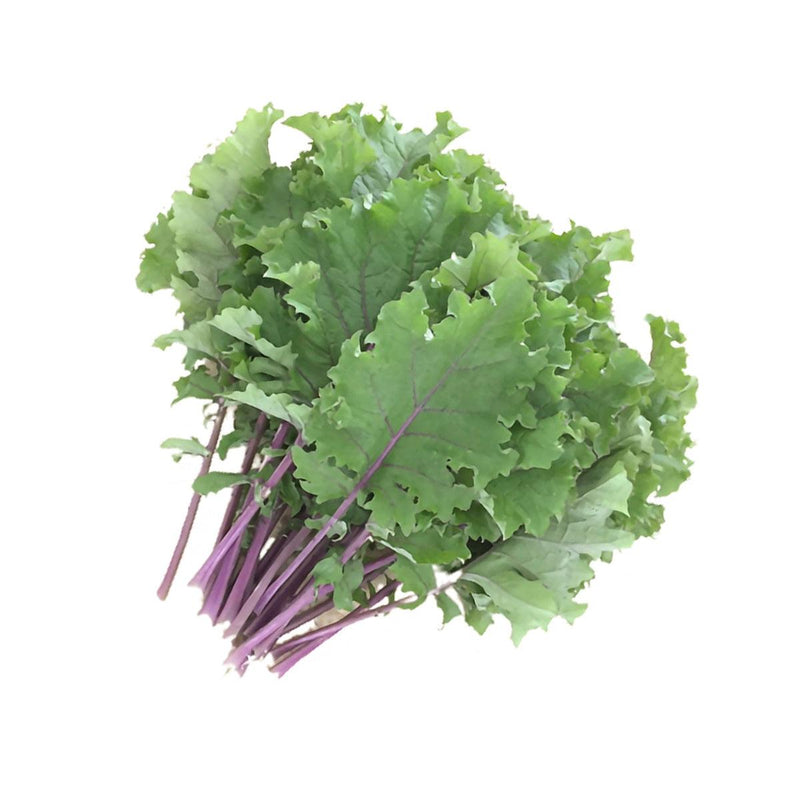 Local Organic Kale - Curly  (300g)