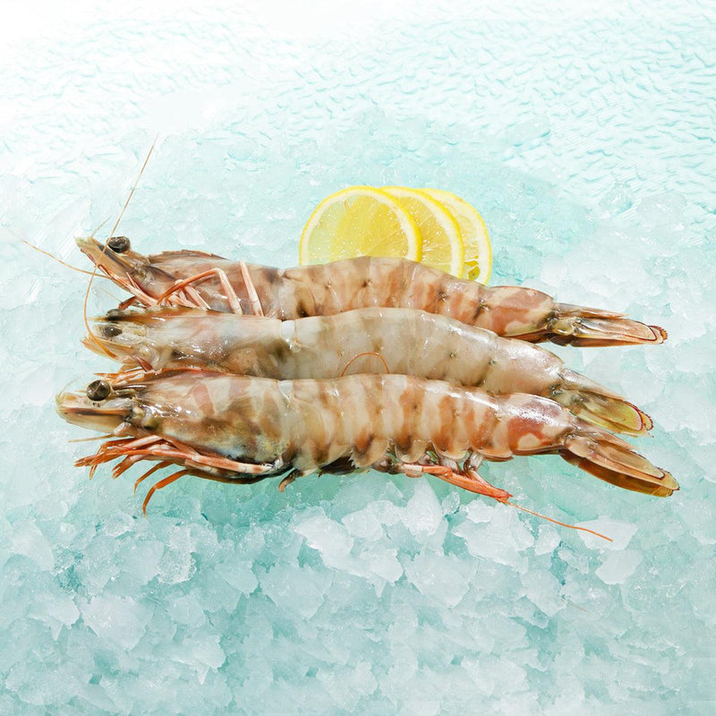 SKULL ISLAND Australia Tiger Prawn - Ocean Caught [Previously Frozen]  (300g)