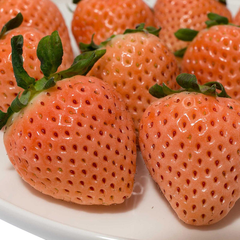 Japanese Awayuki Strawberry  (1pc)