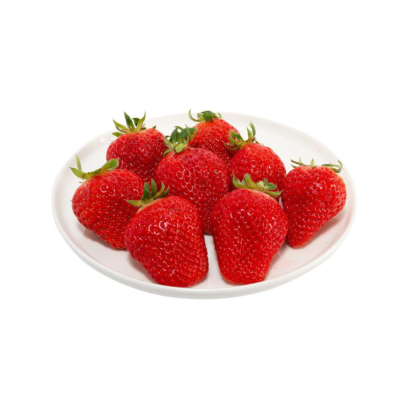 Japan Kumamoto Yubeni Strawberry  (1pack)