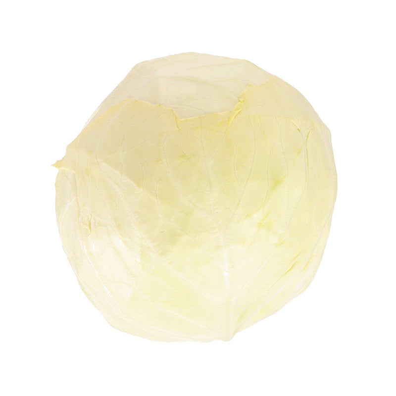 Japan Nagano Green Bowl Cabbage  (300g)