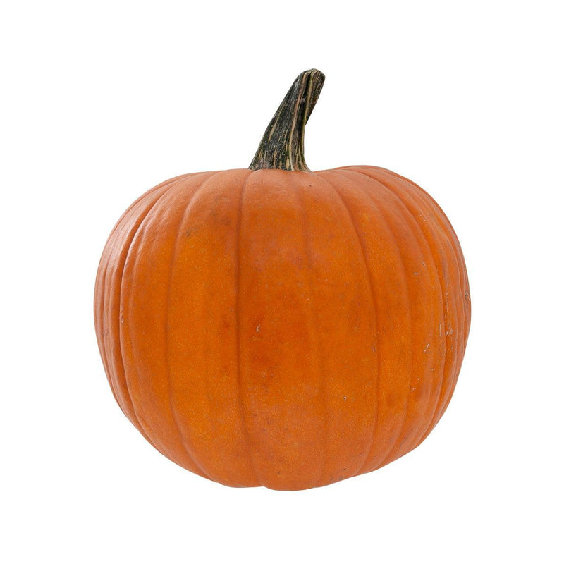 USA Pumpkin - Large  (1pc)